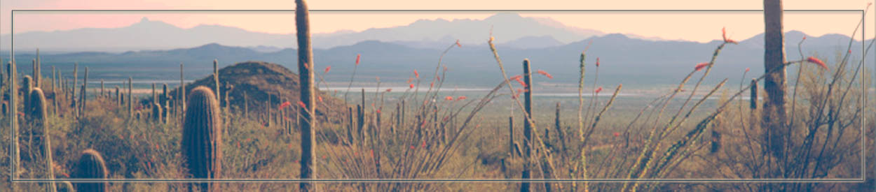 #nivo2 Untitled Header Image